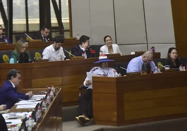 Fuego cruzado y marcada división entre diputados “payistas” - Política - ABC Color