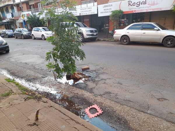 Vecinos cansados de la inacción de la Essap colocan un árbol en plena calle