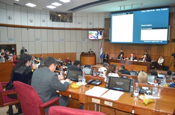 Propuesta de liberal para Conaderna genera intensa discusión en el Senado - ADN Digital