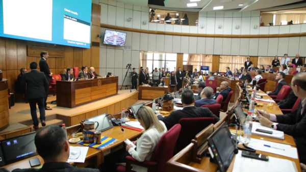Senado designa a Maria Varela y David Rivas como representantes ante el JEM