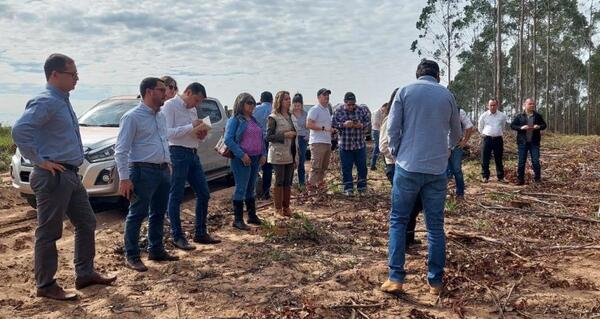 AFD visita plantaciones forestales en Santa Rosa del Aguaray