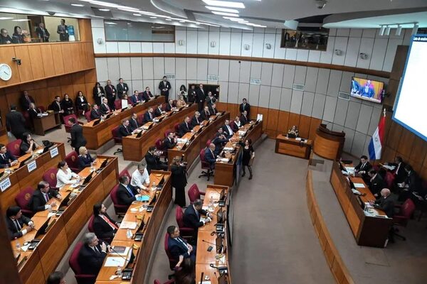 Mario Varela y Hernán Rivas serán representantes del Senado ante el JEM - Política - ABC Color