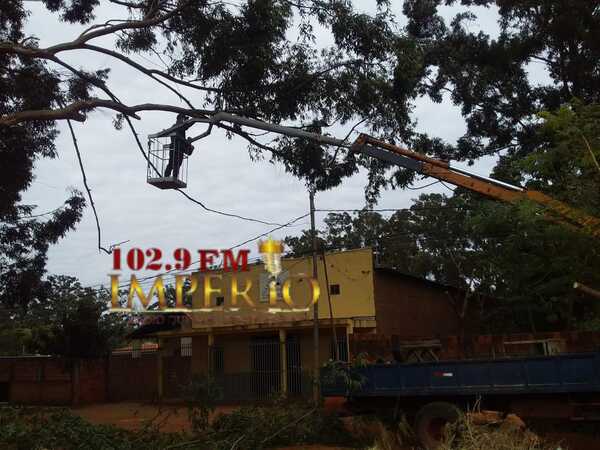 Inició la tala de árboles en la fracción Eucaliptal - Radio Imperio