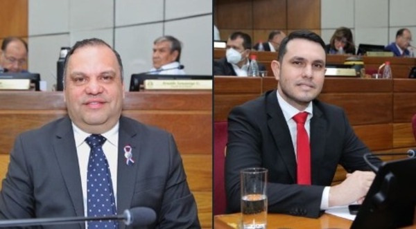 Senado designa a dos colorados como representantes del JEM
