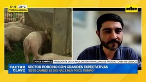 Video: Exportación de carne porcina - Factor Clave - ABC Color