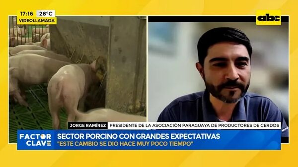 Video: Exportación de carne porcina - Factor Clave - ABC Color