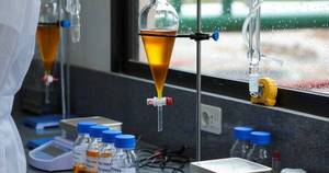La Nación / Biodiésel made in Paraguay: empresa obtiene certificación para exportar a EE. UU. y Europa