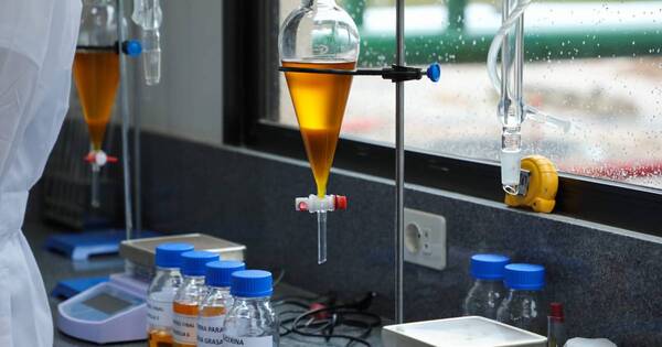 La Nación / Biodiésel made in Paraguay: empresa obtiene certificación para exportar a EE. UU. y Europa