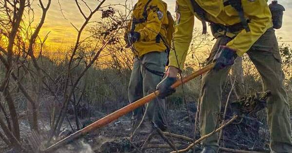 La Nación / Bomberos controlan incendio de gran magnitud sobre ruta que une Luque y San Bernardino