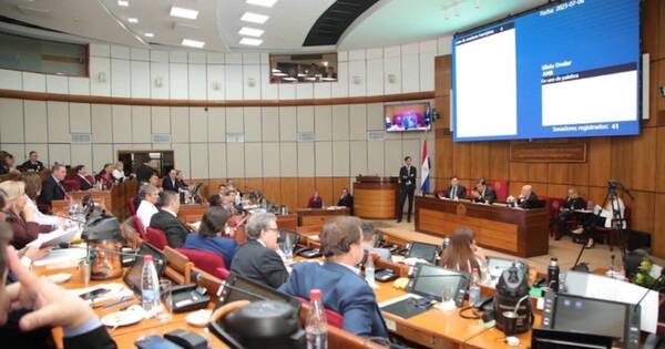 La Nación / Senado designó representantes ante el JEM y CM