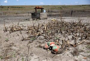 Ucrania denuncia más de 2.500 casos de “ecocidio” durante la invasión rusa - Mundo - ABC Color