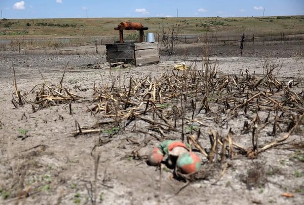 Ucrania denuncia más de 2.500 casos de “ecocidio” durante la invasión rusa - Mundo - ABC Color