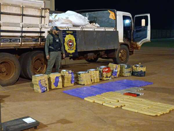 Detectan cargamento de marihuana oculto entre granos de soja | 1000 Noticias