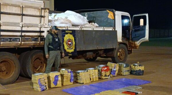 Amambay: Transportaban droga entre granos de soja desde la Colonia San Luis