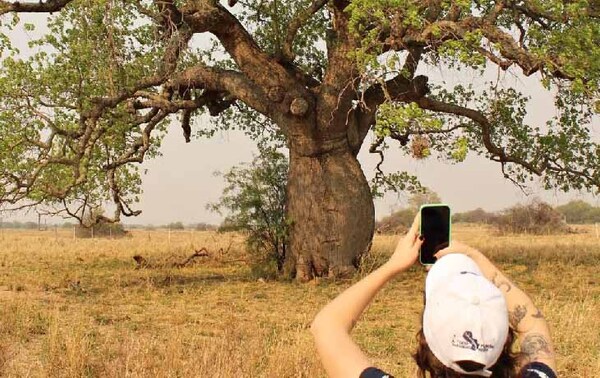 Colosos de la Tierra: invitan a participar del concurso a la mejor fotografía de la naturaleza – Prensa 5