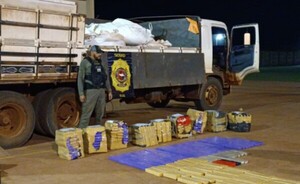Detectan cargamento de casi 400 kg de marihuana oculto entre granos