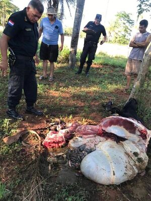 Abigeato crea zozobra a ganaderos de Paraguarí - Nacionales - ABC Color