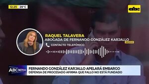 Video: Fernando González Karjallo apelará embargo  - ABC Noticias - ABC Color