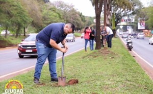 Reponen árboles que fueron cortados, en el km 3,5 y 4