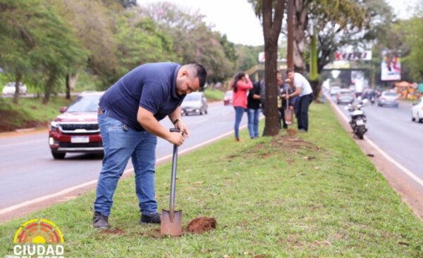 Reponen árboles que fueron cortados, en el km 3,5 y 4