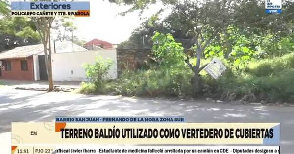 La Nación / Vecinos denuncian que terreno baldío es utilizado como vertedero