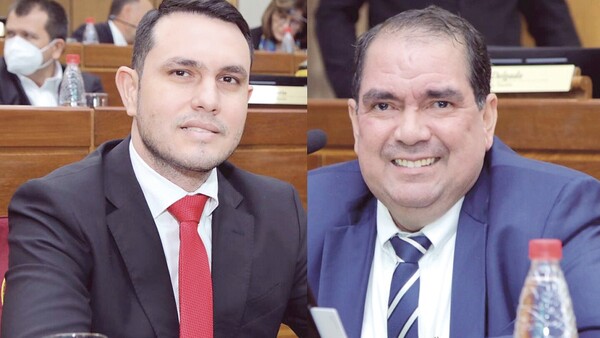 Trataron de "lapi mbyky" a los senadores elegidos