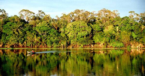 La Nación / Más de 4.000 mineros ilegales fueron desalojados de la Amazonia