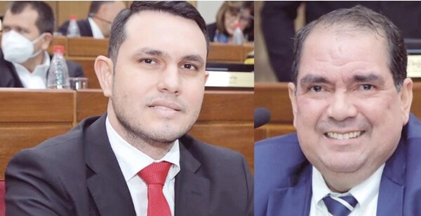 Trataron de “lapi mbyky” a los senadores elegidos