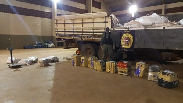 Incautan casi 400 kilos de marihuana oculta entre bolsas de abono