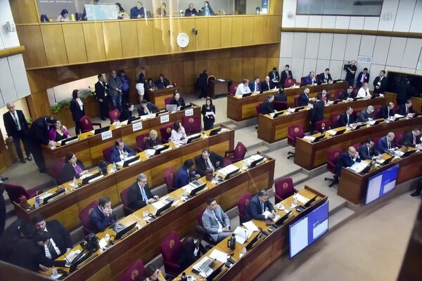 Quieren que sesiones sean 100% presenciales en el Senado - Política - ABC Color