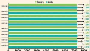 El dólar podría llegar a G. 7.450, estiman las casas de cambio