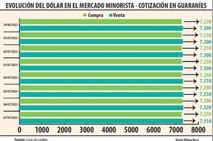 EL DÓLAR PODRÍA LLEGAR A G. 7.450, ESTIMAN LAS CASAS DE CAMBIO