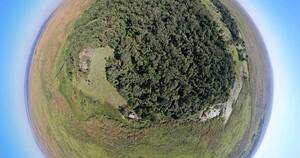 La Nación / Mocito Isla: un santuario natural enclavado en los humedales del Ypoá - OJO Galería