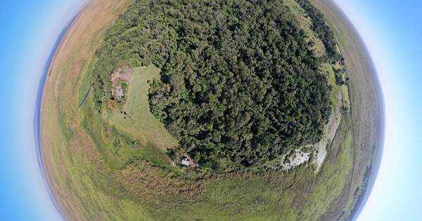 La Nación / Mocito Isla: un santuario natural enclavado en los humedales del Ypoá - OJO Galería