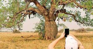 La Nación / Concurso de fotos sobre la naturaleza