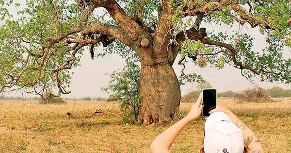 La Nación / Concurso de fotos sobre la naturaleza