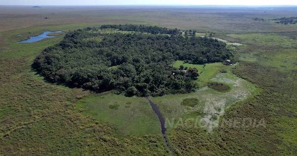 La Nación / Mocito Isla: un santuario natural enclavado en los humedales del Ypoá