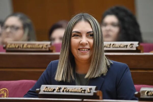 Diputados piden informes de contratos y de licitaciones al gobernador de Central - Política - ABC Color