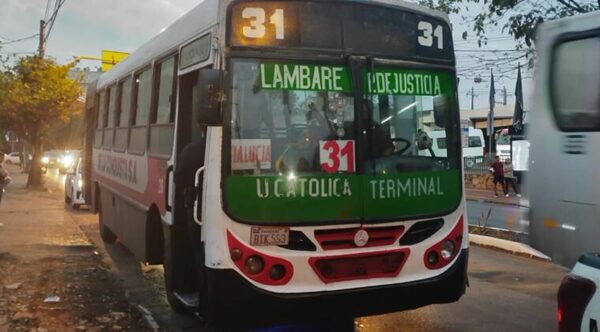 Hieren a chofer y a pasajera durante asalto en un colectivo | 1000 Noticias