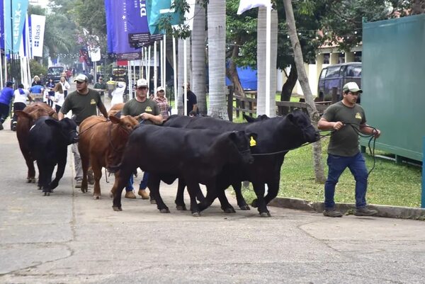 Piden ley para identidad del ganado y ente para la carne - Economía - ABC Color