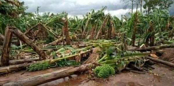 Tormenta dejó sarambí a su paso por Caaguazú
