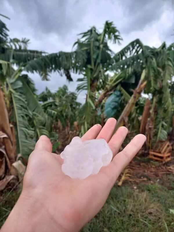 Temporal causó destrozos en casas y bananales de Tembiaporã - Clima - ABC Color