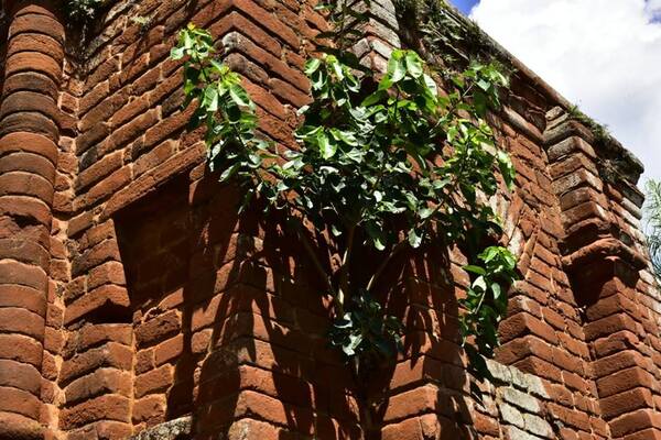 Torre Jesuitica de Santa Rosa aún no será reparada
