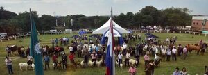Esperan apertura de EE.UU. para la carne antes del traspaso - Nacionales - ABC Color