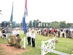 Los mejores animales del país están presentes en la LXXVII Exposición Nacional de Ganadería - La Tribuna