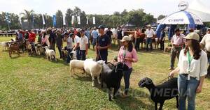 La Nación / Con más inscriptos, arrancó ayer la Exposición Nacional Ganadera