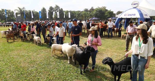 La Nación / Con más inscriptos, arrancó ayer la Exposición Nacional Ganadera