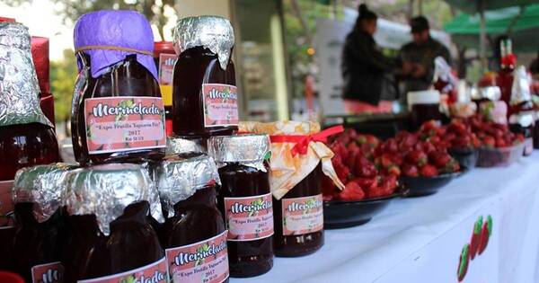 La Nación / Productores dan inicio a Expo Frutilla Areguá 2023 con grandes expectativas