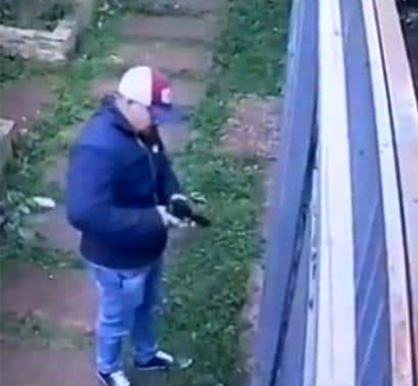 Buscan identificar a sicario que mató a balazos a un comerciante libanés - La Clave