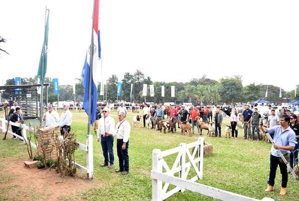 Diario HOY | Expo Ganadera: resaltan calidad de los animales y trabajo de los productores